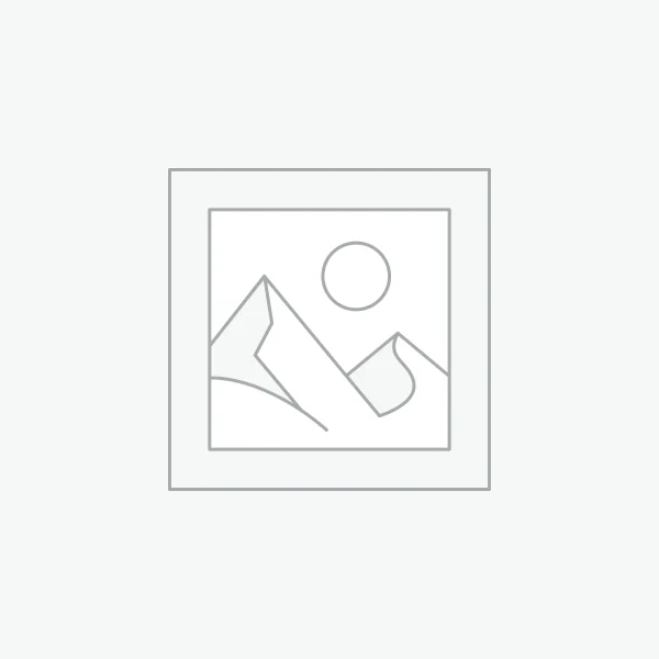 Industry + Business Presence Report